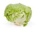 Cabbage lettuce isolated Royalty Free Stock Photo