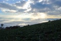 Cabbage On Mountain Camping and cloud view Heaven View on earth