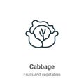 Cabbage outline vector icon. Thin line black cabbage icon, flat vector simple element illustration from editable fruits concept