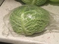 Cabbage Royalty Free Stock Photo