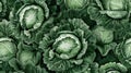 The cabbage pattern exhibits a repeating sequence often found in nature, reminiscent of the fractal-like
