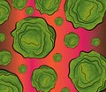Cabbage pattern illustration