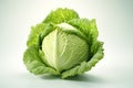 Cabbage photo realistic illustration - Generative AI.