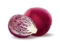 Cabbage red cut Royalty Free Stock Photo