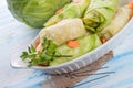 Cabbage roll Royalty Free Stock Photo