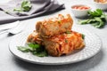 Cabbage rolls with beef, rice and vegetables on the plate. Stuffed cabbage leaves with meat. Gray concrete table