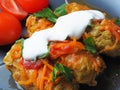 Cabbage rolls with meat, rice and vegetables. Stuffed Peking cabbage leaves with meat, in tomato sauce, on a black plate with Royalty Free Stock Photo