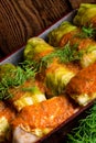 Cabbage rolls out young cabbage Royalty Free Stock Photo