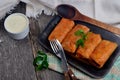 Cabbage rolls stuffed with ground meat and rice Royalty Free Stock Photo