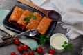 Cabbage rolls stuffed with ground meat and rice Royalty Free Stock Photo