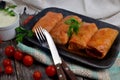 Cabbage rolls stuffed with ground meat and rice Royalty Free Stock Photo