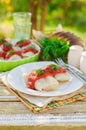 Cabbage Rolls with Tomato Sauce and Dill Royalty Free Stock Photo