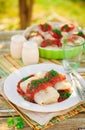 Cabbage Rolls with Tomato Sauce and Dill Royalty Free Stock Photo