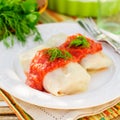 Cabbage Rolls with Tomato Sauce and Dill Royalty Free Stock Photo