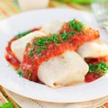 Cabbage Rolls with Tomato Sauce and Dill Royalty Free Stock Photo