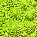 Cabbage romanesco background