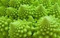 Cabbage romanesco, Brassica oleracea Royalty Free Stock Photo