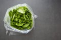 Cabbage round fresh lettuce isolated on dark background with copy space. Salat lettuce. Healthy food