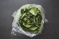 Cabbage round fresh lettuce isolated on dark background with copy space. Salat lettuce. Healthy food Royalty Free Stock Photo
