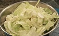 Cabbage in a Salad Bowl