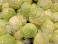 Cabbage on sale in an Asian wet market Royalty Free Stock Photo