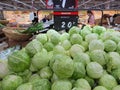 Cabbage on sale in an Asian wet market Royalty Free Stock Photo