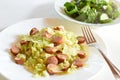 Cabbage and Sausage with Side Salad Royalty Free Stock Photo