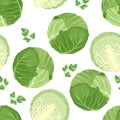 Cabbage seamless pattern on white background. Green cabbage whole and half. Royalty Free Stock Photo