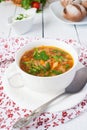 Cabbage soup Royalty Free Stock Photo