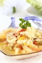 Cabbage soup Royalty Free Stock Photo