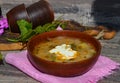 Cabbage soup with meat and potatoes, boal on a pink napkin, close up