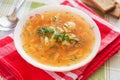 Cabbage soup. Russian traditional dish Royalty Free Stock Photo