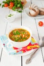 Cabbage soup with tomato and greenery Royalty Free Stock Photo