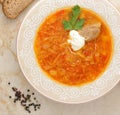 Cabbage soup is a traditional dish of Russian national cuisine Royalty Free Stock Photo