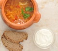 Cabbage soup is a traditional dish of Russian national cuisine Royalty Free Stock Photo