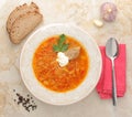 Cabbage soup is a traditional dish of Russian national cuisine Royalty Free Stock Photo