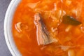 Cabbage soup. Traditional Russian cuisine Royalty Free Stock Photo