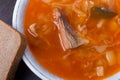 Cabbage soup. Traditional Russian cuisine Royalty Free Stock Photo