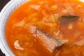 Cabbage soup. Traditional Russian cuisine Royalty Free Stock Photo