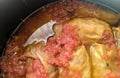 Cabbage stuffed with pork called / sarmale / - traditional food from Transylvania - Romania