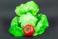 Cabbage and tomato Royalty Free Stock Photo