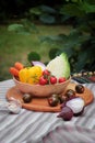 Cabbage, tomatoes, onions, garlic, bell peppers are in a plate Royalty Free Stock Photo