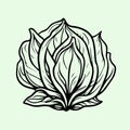 Hand Drawn Cabbage Vector Icon Minimal Design Royalty Free Stock Photo