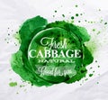 Cabbage watercolor poster