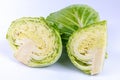 Cabbage on a white background