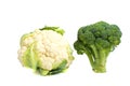 Cabbage on a white background. Royalty Free Stock Photo