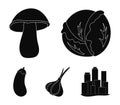 Cabbage white, mushroom forest, garlic useful, eggplant. Vegetables set collection icons in black style vector symbol