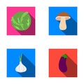 Cabbage white, mushroom forest, garlic useful, eggplant. Vegetables set collection icons in flat style vector symbol