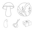 Cabbage white, mushroom forest, garlic useful, eggplant. Vegetables set collection icons in outline style vector symbol
