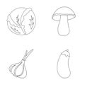 Cabbage white, mushroom forest, garlic useful, eggplant. Vegetables set collection icons in outline style vector symbol